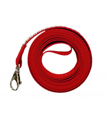 HOBBY HORSE LUNGE LINE - RED