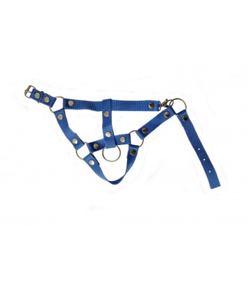 KANTAR HOBBY HORSE -...