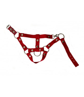 HOBBY HORSE HALTER - RED...