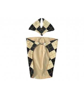 ZESTAW HOBBY HORSE: DERKA I...