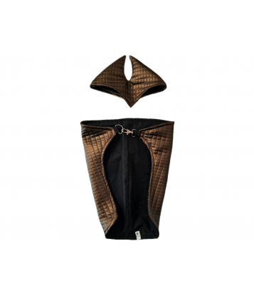 HOBBY HORSE SET: RUG AND...