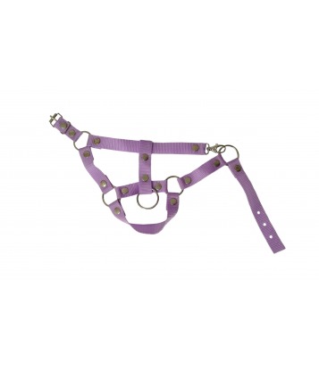 KANTAR HOBBY HORSE -...