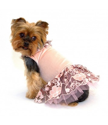 Sukienka dla psa z falbankami